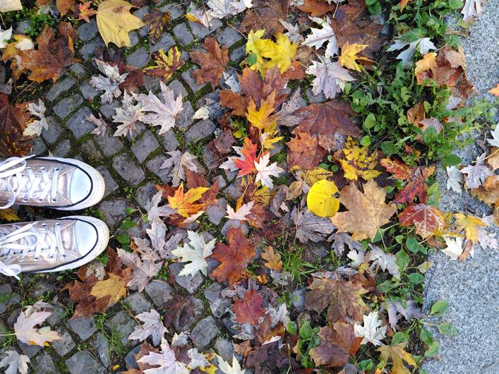 shiny converse boots in fornt of Atumn leaves